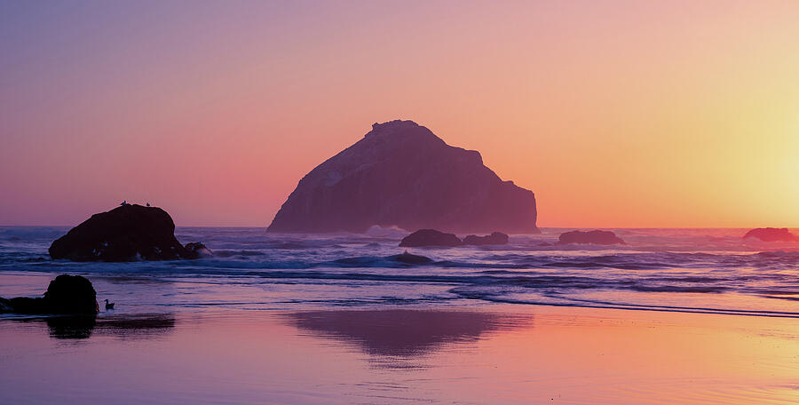 Face Rock Oregon sunrise coastal photography print by Dan Sproul